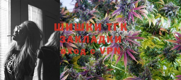 apvp Няндома