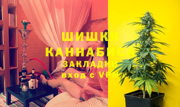 apvp Няндома