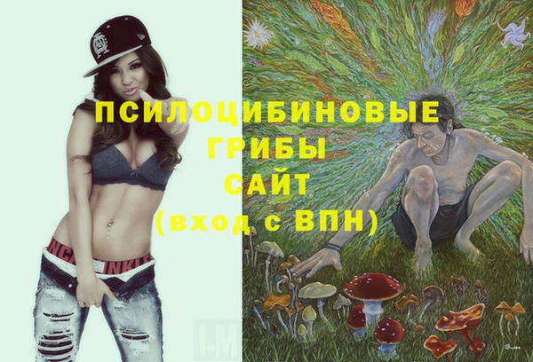 2c-b Нягань