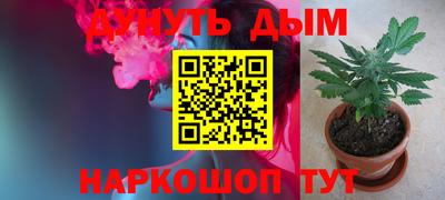 прущая мука Кингисепп