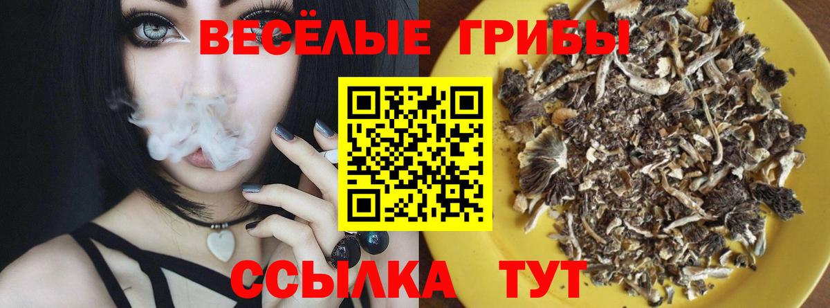 Урус-Мартан  Псилоцибиновые грибы мицелий  Вход с VPN 
