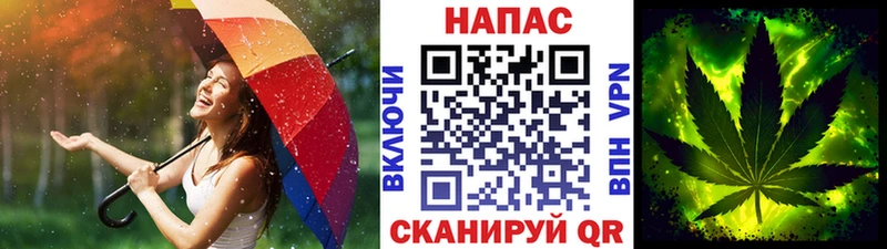 Конопля индика цена Урус-Мартан